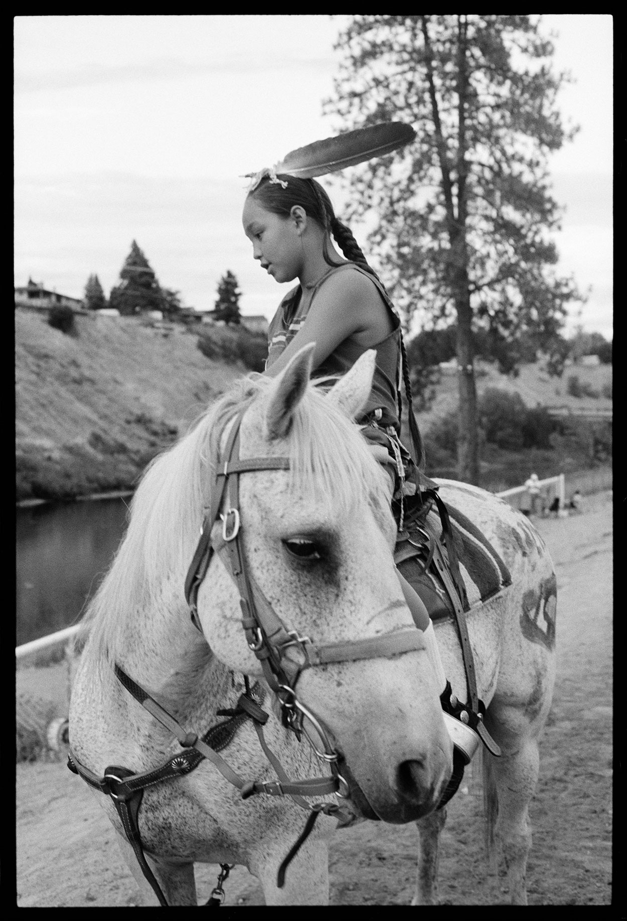 Gray Horse - Riding The Silver Dream - Hunter Barnes Photography